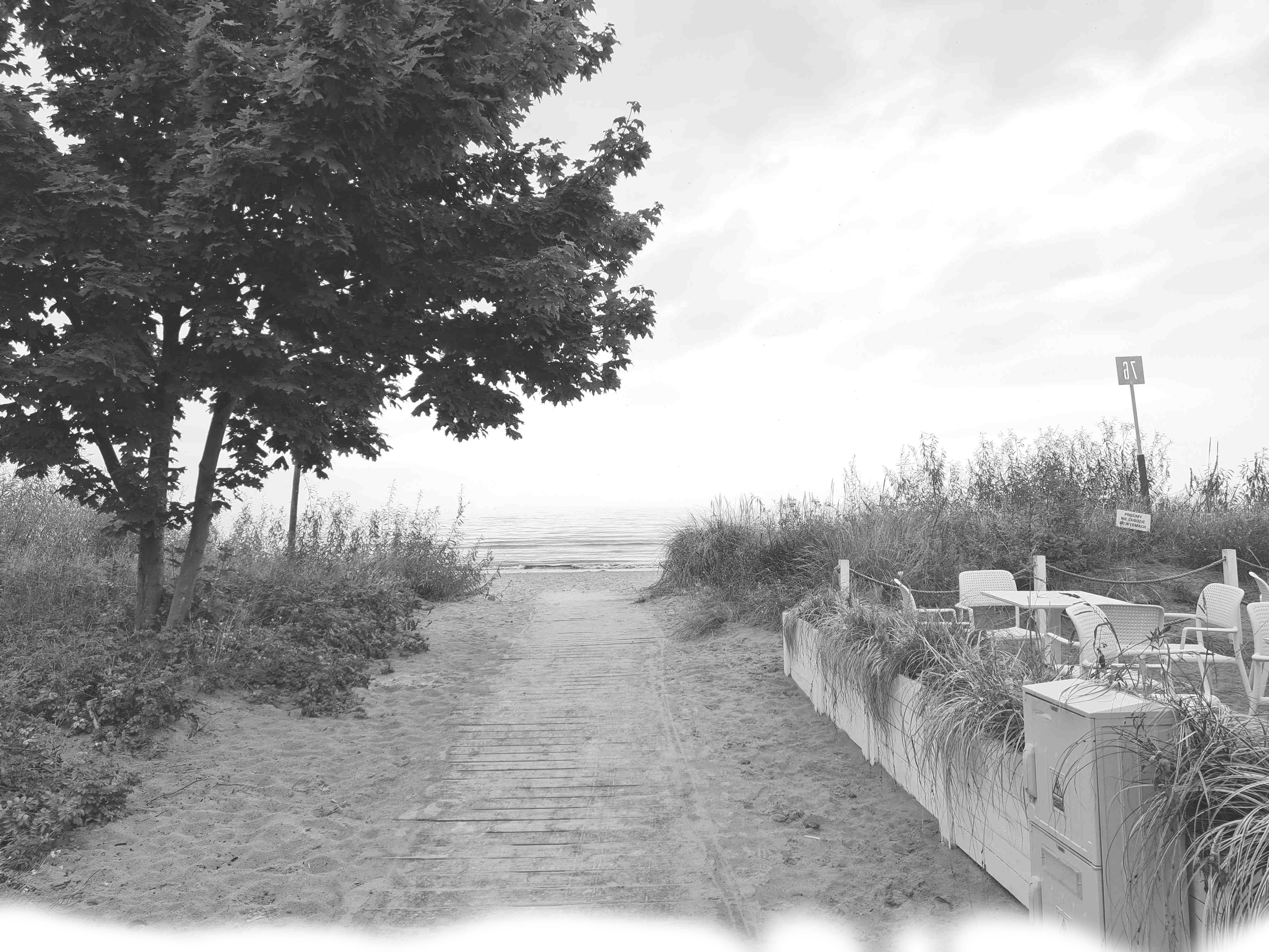 The MLGSTUDIO team working on the project